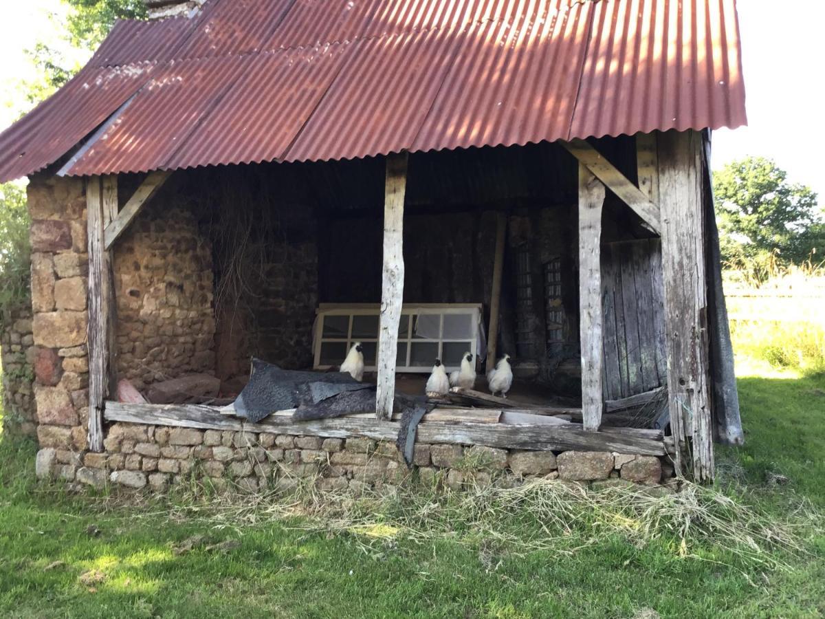 Bed and Breakfast La Ville - Les Petits Champs Buais-les-Monts Екстер'єр фото